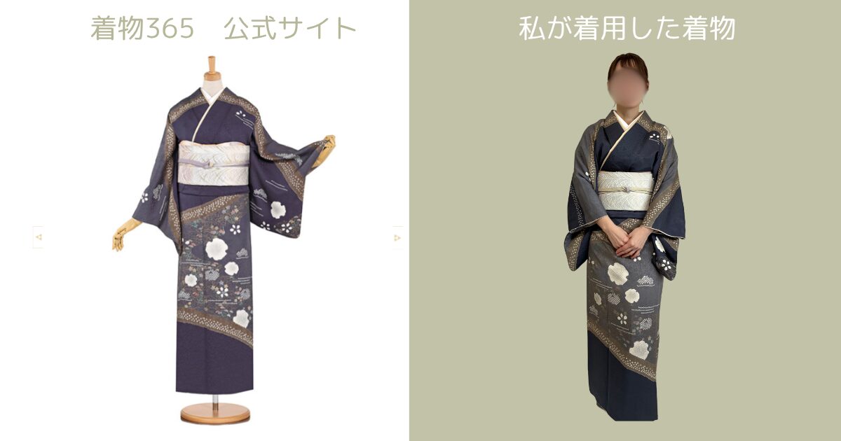 公式サイトと実際の着姿の比較